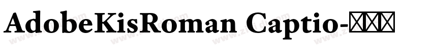 AdobeKisRoman Captio字体转换